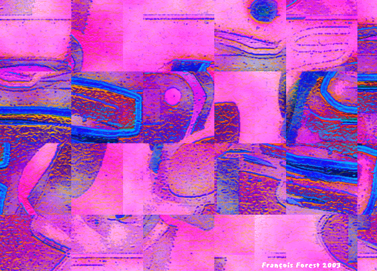 SUR L'ILE.gif